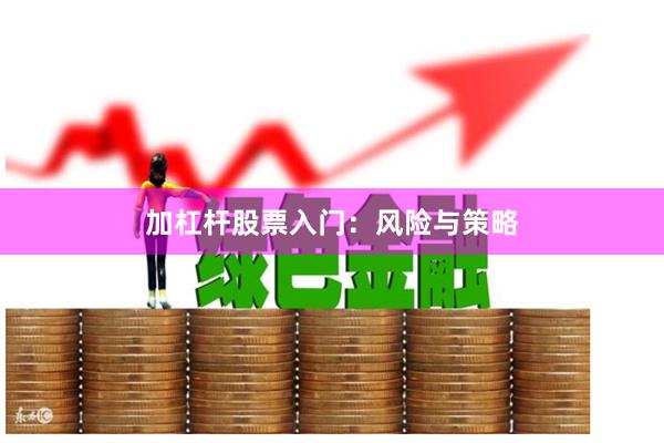 加杠杆股票入门：风险与策略